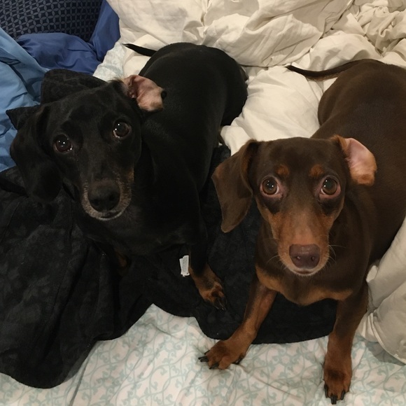 Meet your Posher, Laura - Picture 10 of 12